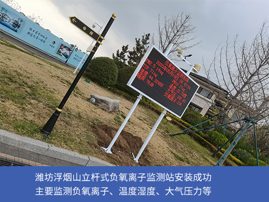 公園景區(qū)用負(fù)氧離子監(jiān)測站